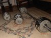 PA290053.jpg