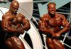 dağ gibi bicepsler- final.jpg