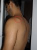 SAM_3619.jpg