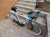 DSC05435.jpg