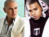 Chris-Brown-&-Pitbull.jpg