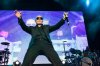 PitbullNL7_t653.jpg