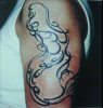 mermaid-tattoos-6.jpg
