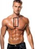 bodybuilding.jpg