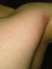 WP_20130512_007.jpg
