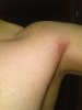 WP_20130512_008.jpg