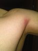WP_20130512_009.jpg