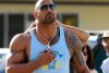 the-rock-dwayne-johnson-2013-588x400.jpg