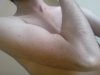 DSC02130.jpg