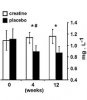 creatine.kidney_.jpg