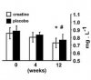 creatine.kidney2.jpg
