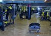 IMG_0243.jpg