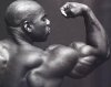 flex_wheeler[1].jpg