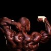 MG_FlexWheeler6.jpg