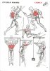 сканирование0015a.jpg