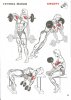 сканирование0019a.jpg