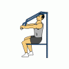 ChestPress.gif