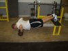 incline-push-up-2.jpg