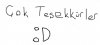 Adsız.jpg