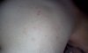 IMG_20130927_125117.jpg