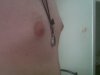 IMG00267-20131227-1118.jpg