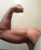 arm.jpg