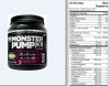 Monster Pump1.jpg