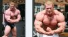 dennis wolf1.jpg