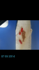Screenshot_2014-05-07-18-31-16.png