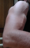 ffd.PNG