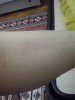 CAM00427.jpg