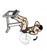 roman_chair_sit_ups.jpg