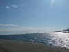 DSC00115.jpg