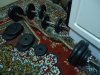 DSC04187.JPG