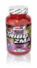 tribu-zma_90tbl_web_466_l.jpg