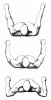 Bench_Press_Arms.jpg