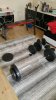 20160410_143905-1024x1820.jpg