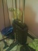 DSC00251.jpg