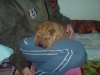 DSC00074 (600 x 450).jpg