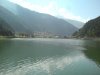 DSC00356.jpg