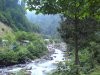 DSC00407.jpg