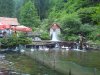 DSC00413.jpg
