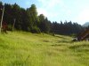 DSC00428.jpg