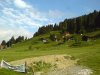 DSC00443.jpg
