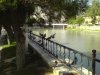 DSC00563.jpg
