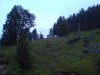 DSC00298.jpg