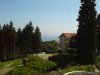 DSC00313.jpg