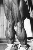 Tom Platz4.jpg