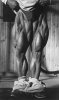 Tom Platz6.jpg
