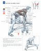 7one-arm dumbbell rows.jpg